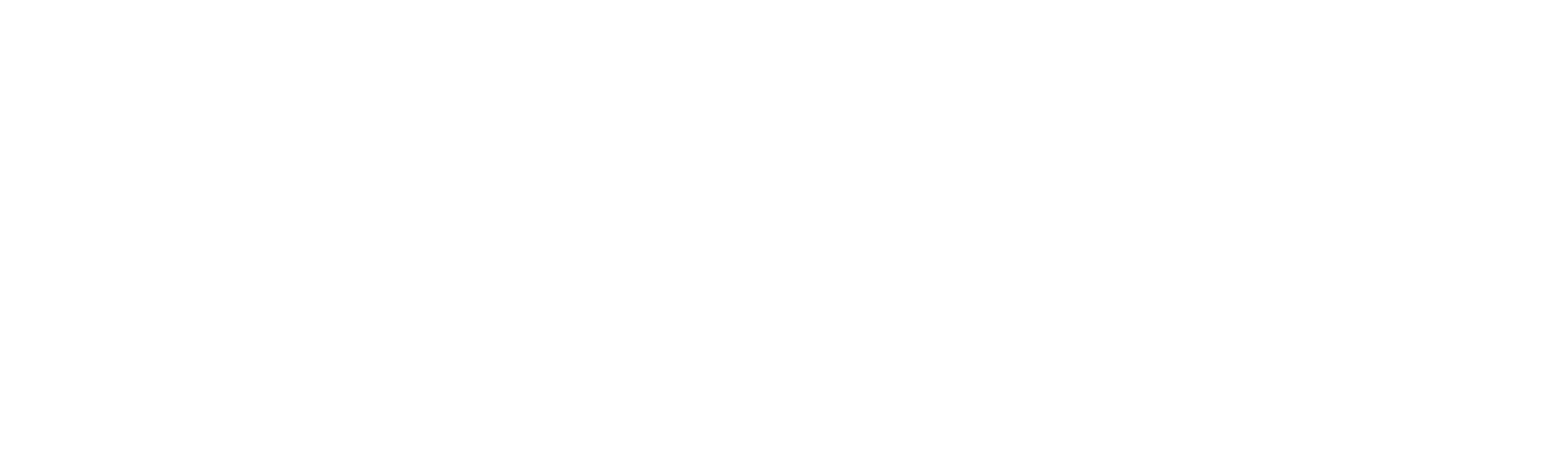 SAK ASSETS